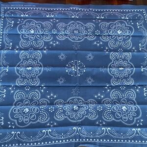 Blue Paisley Bandana Set of 2